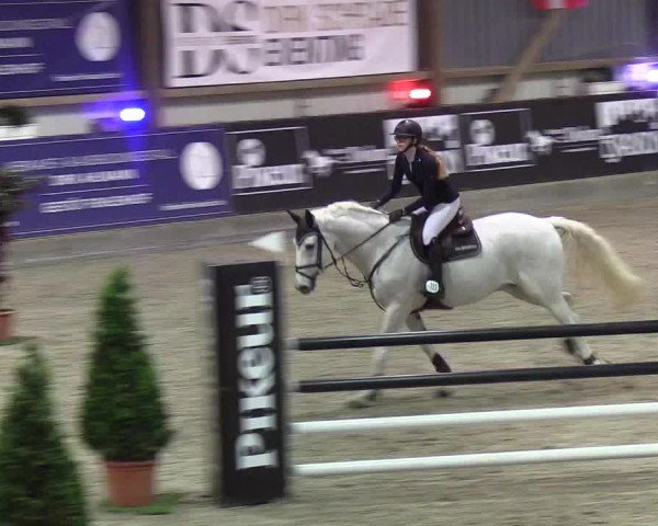 Nordic Jumping events 2019