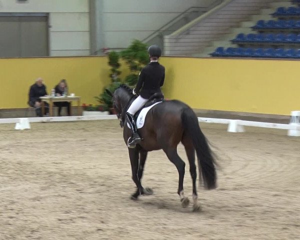 Reitturnier Prussendorf 2019