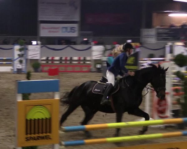 Reitturnier Rhede-Krommert 2019