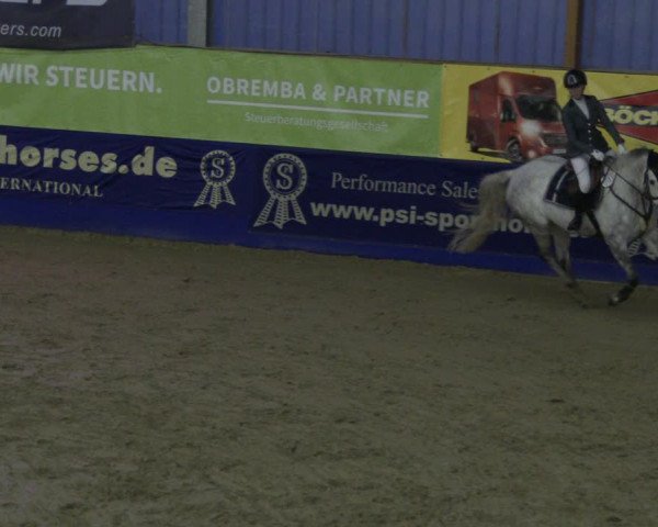 Reitturnier Isterberg 2019