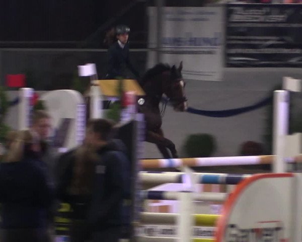 Reitturnier Rhede-Krommert 2019