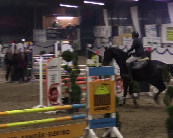 Reitturnier Rhede-Krommert 2019