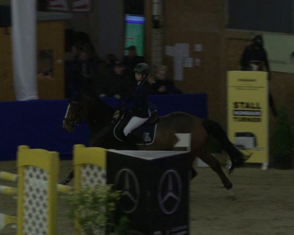 Reitturnier Isterberg 2019
