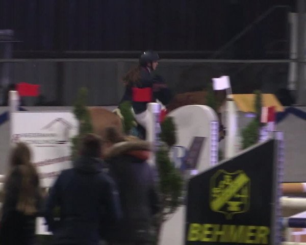 Reitturnier Rhede-Krommert 2019