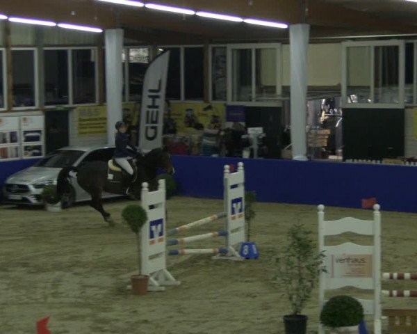 Reitturnier Isterberg 2019