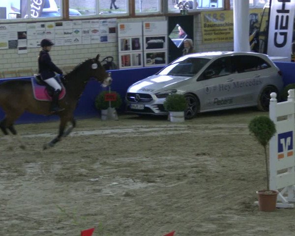 Reitturnier Isterberg 2019
