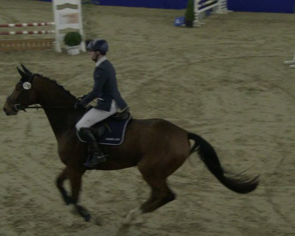Reitturnier Isterberg 2019