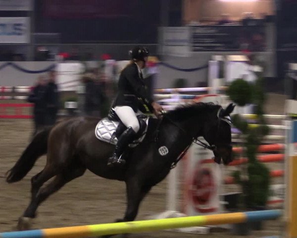 Reitturnier Rhede-Krommert 2019