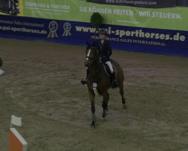Reitturnier Isterberg 2019