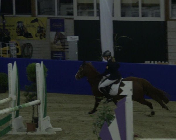 Reitturnier Isterberg 2019
