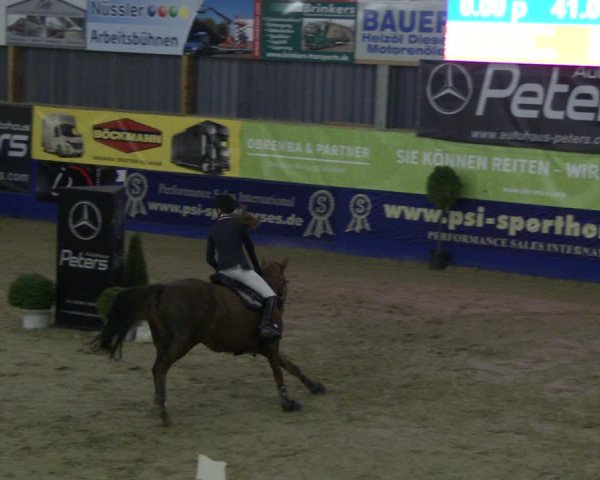 Reitturnier Isterberg 2019