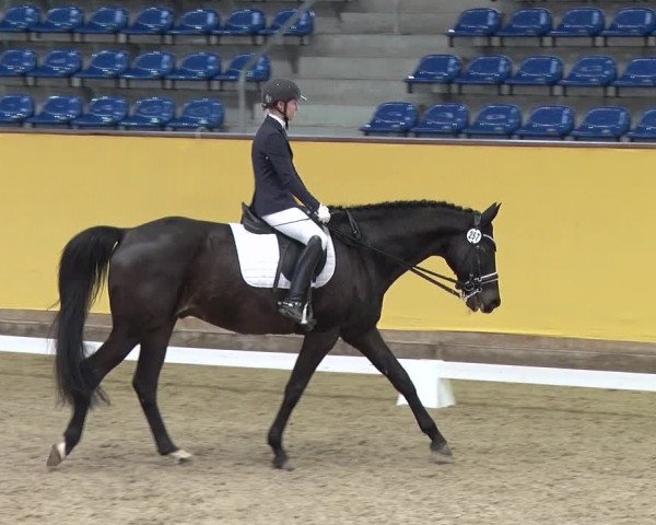 Reitturnier Prussendorf 2019