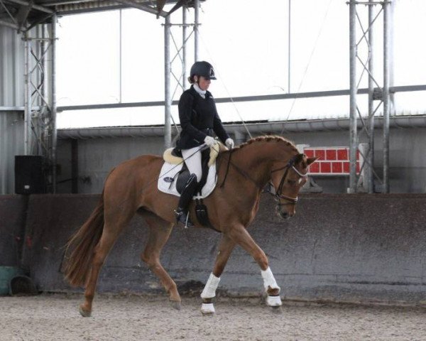 broodmare Fortalezza Biolley (Oldenburg, 2011, from Fürst Romancier)