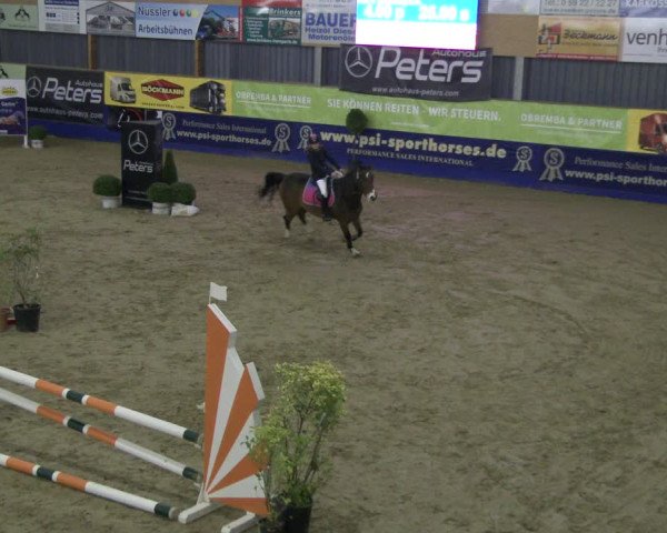 Reitturnier Isterberg 2019