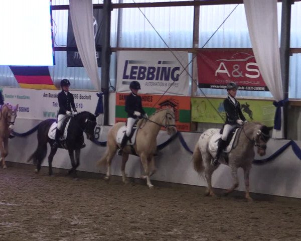 Reitturnier Rhede-Krommert 2019