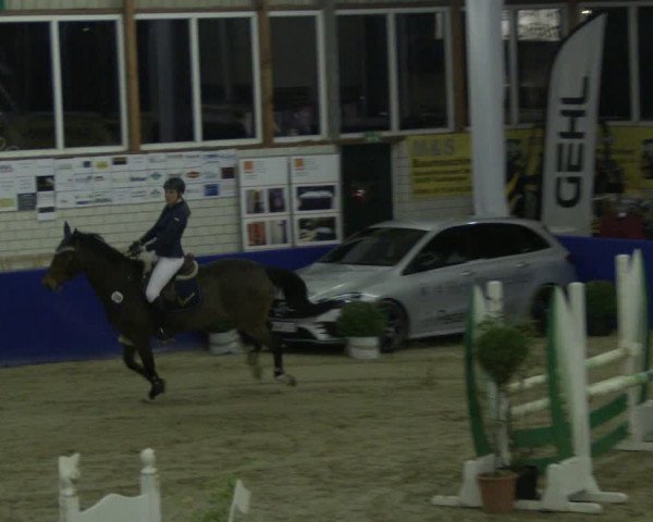 Reitturnier Isterberg 2019