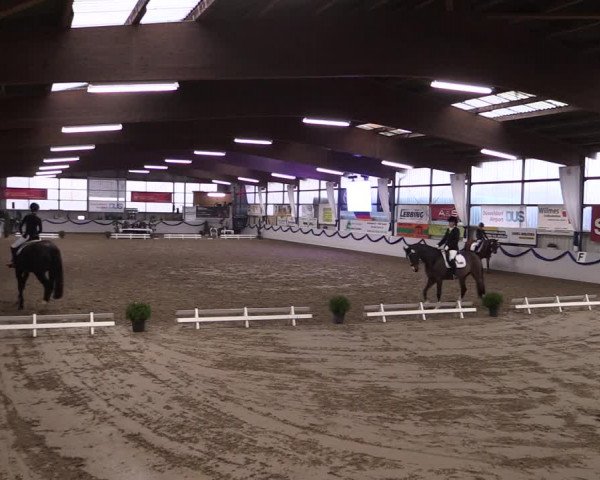 Reitturnier Rhede-Krommert 2019