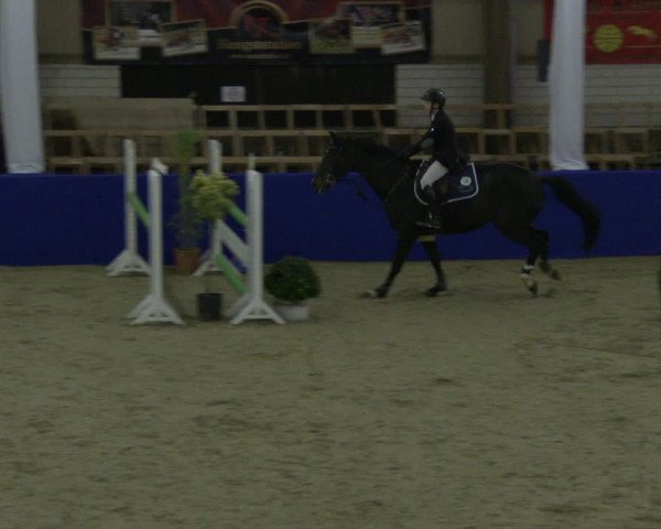 Reitturnier Isterberg 2019