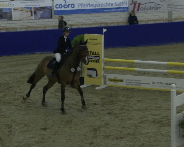 Reitturnier Isterberg 2019