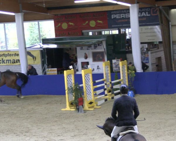 Reitturnier Isterberg 2019