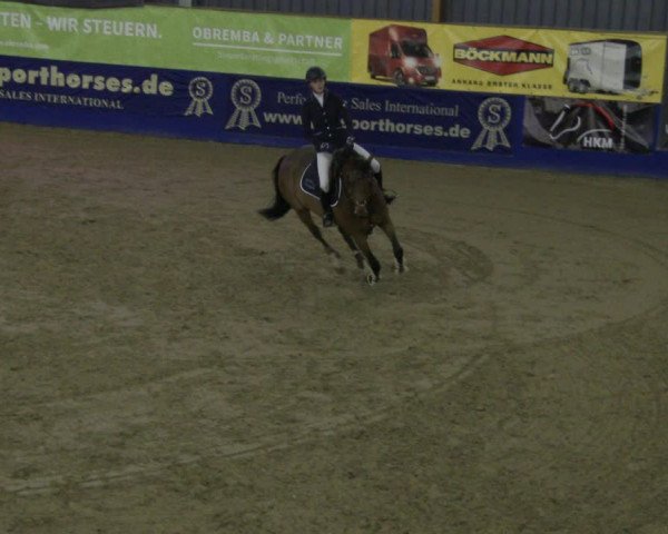 Reitturnier Isterberg 2019