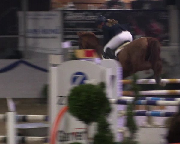Reitturnier Rhede-Krommert 2019