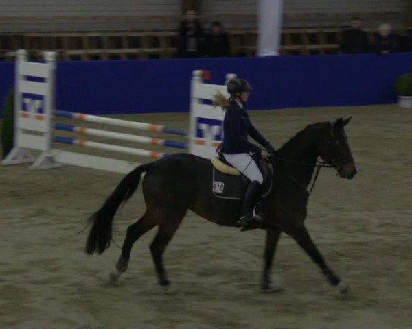 Reitturnier Isterberg 2019