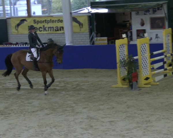 Reitturnier Isterberg 2019