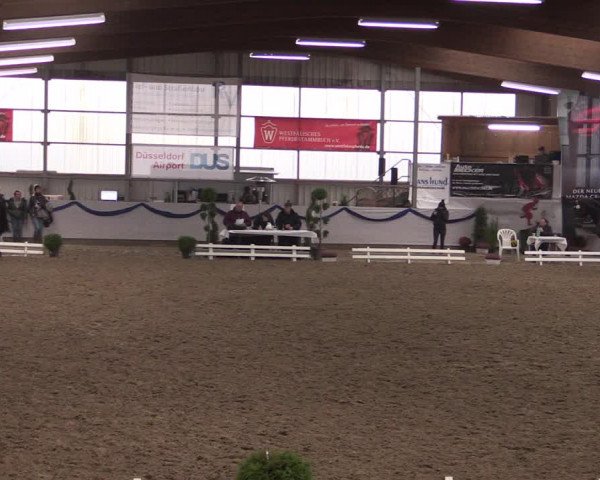 Reitturnier Rhede-Krommert 2019