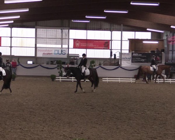 Reitturnier Rhede-Krommert 2019