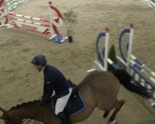 Reitturnier Isterberg 2019