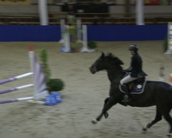 Reitturnier Isterberg 2019