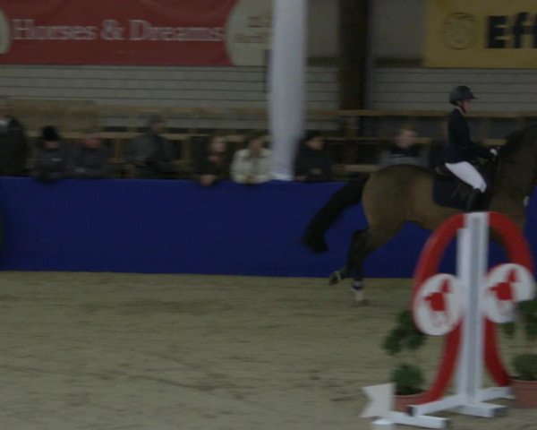 Reitturnier Isterberg 2019