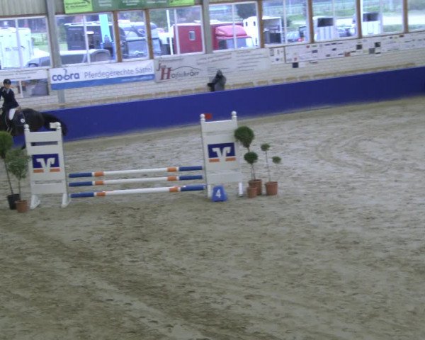 Reitturnier Isterberg 2019