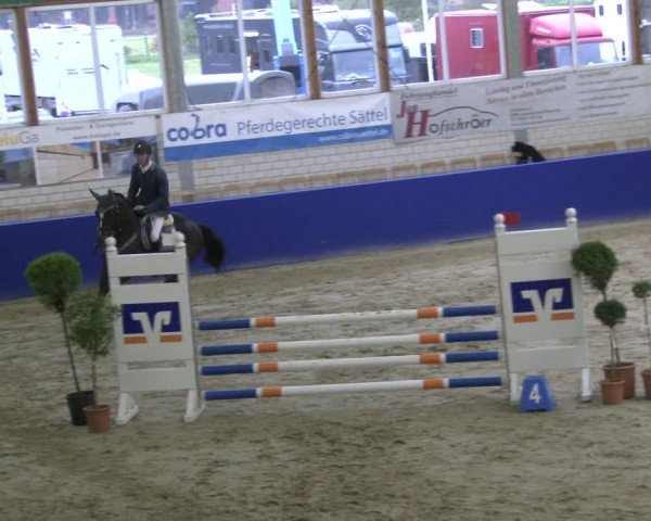 Reitturnier Isterberg 2019