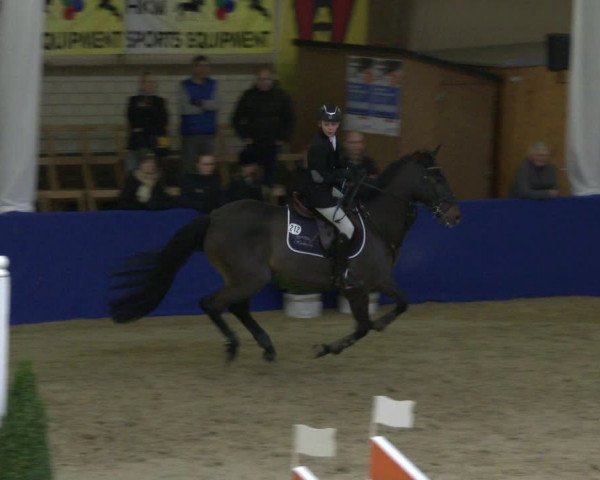 Reitturnier Isterberg 2019