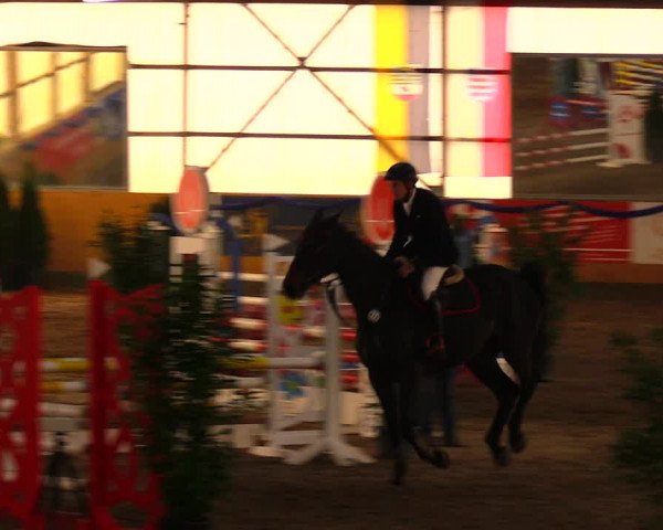 Reitturnier Pausin 2019