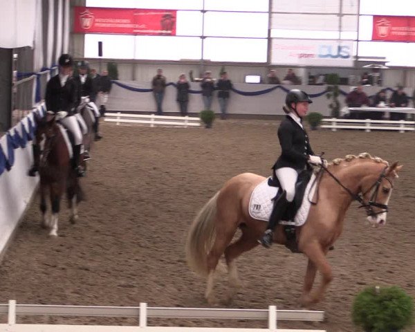 Reitturnier Rhede-Krommert 2019