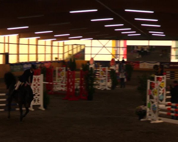 Reitturnier Pausin 2019