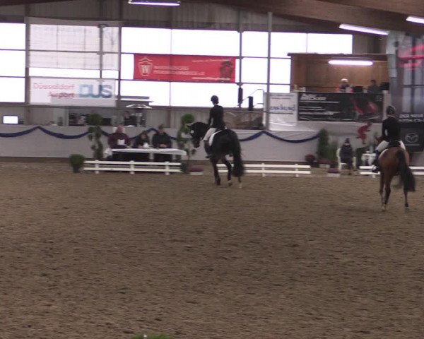 Reitturnier Rhede-Krommert 2019