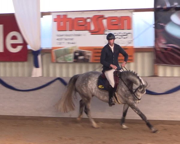 Reitturnier Rhede-Krommert 2019