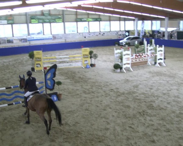 Reitturnier Isterberg 2019