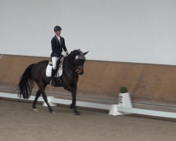Reitturnier Freudenberg 2019