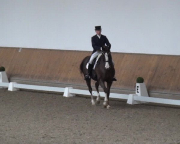 Reitturnier Freudenberg 2019