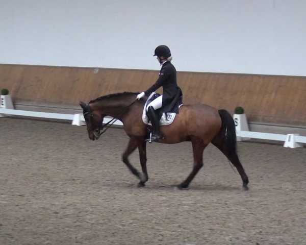 Reitturnier Freudenberg 2019