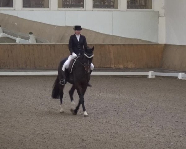 Reitturnier Freudenberg 2019