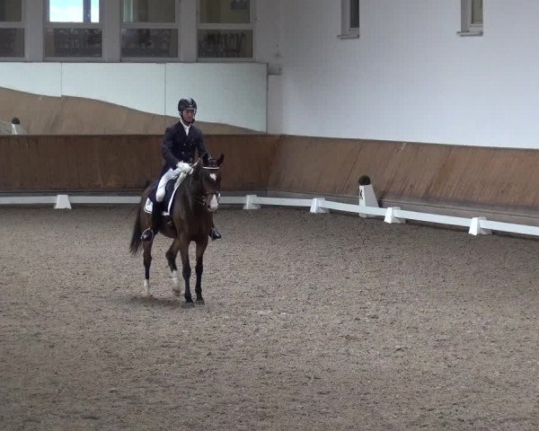 Reitturnier Freudenberg 2019