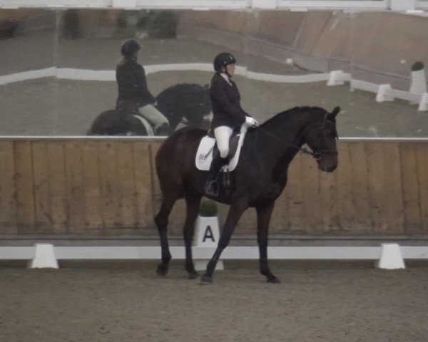 Reitturnier Freudenberg 2019