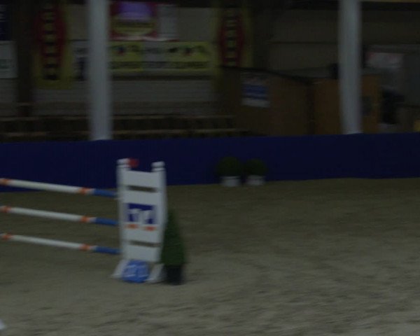 Reitturnier Isterberg 2019