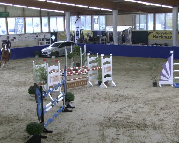 Reitturnier Isterberg 2019